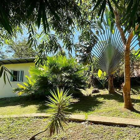 Blue Moon Guesthouse Puerto Princesa Eksteriør billede