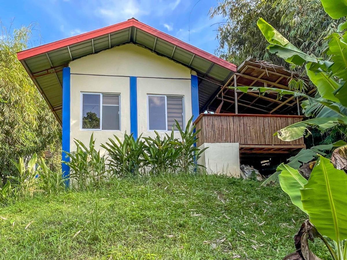 Blue Moon Guesthouse Puerto Princesa Eksteriør billede