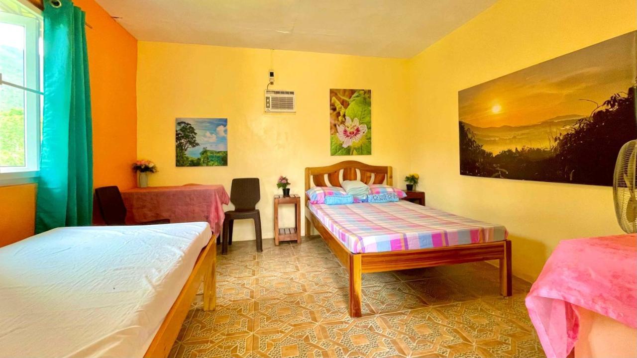 Blue Moon Guesthouse Puerto Princesa Eksteriør billede