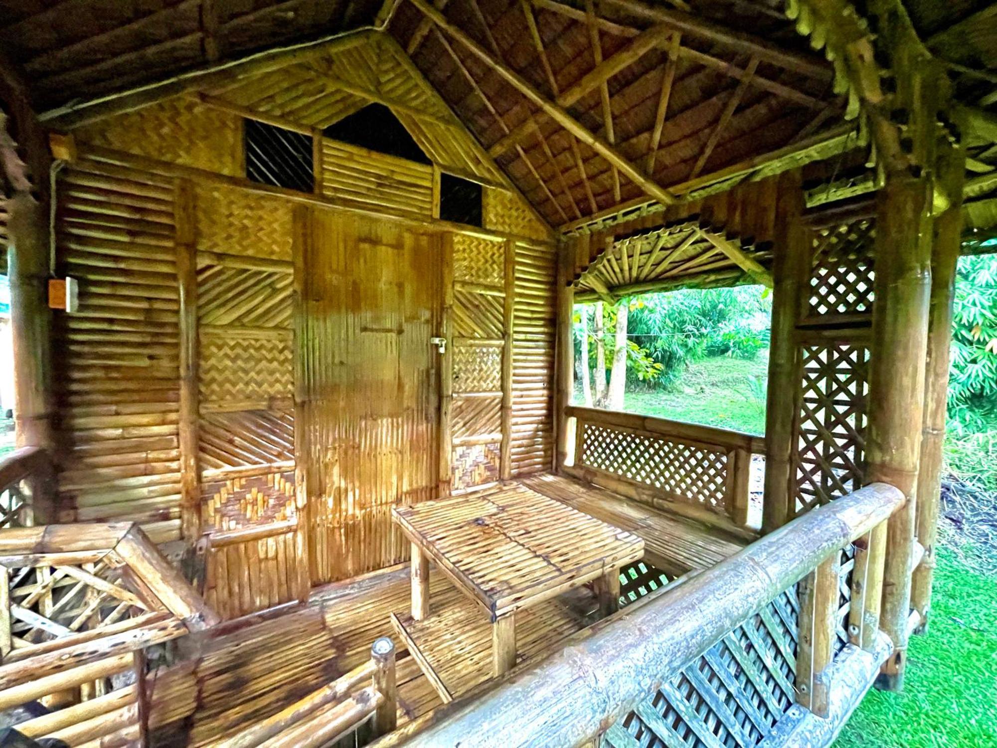 Blue Moon Guesthouse Puerto Princesa Eksteriør billede