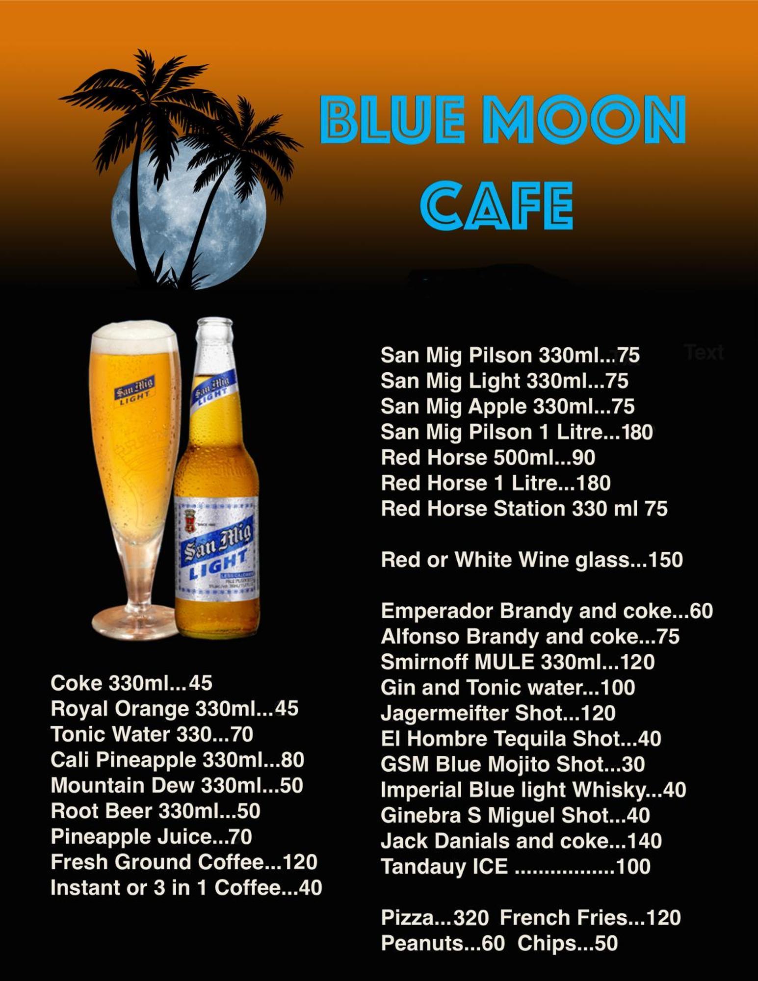 Blue Moon Guesthouse Puerto Princesa Eksteriør billede