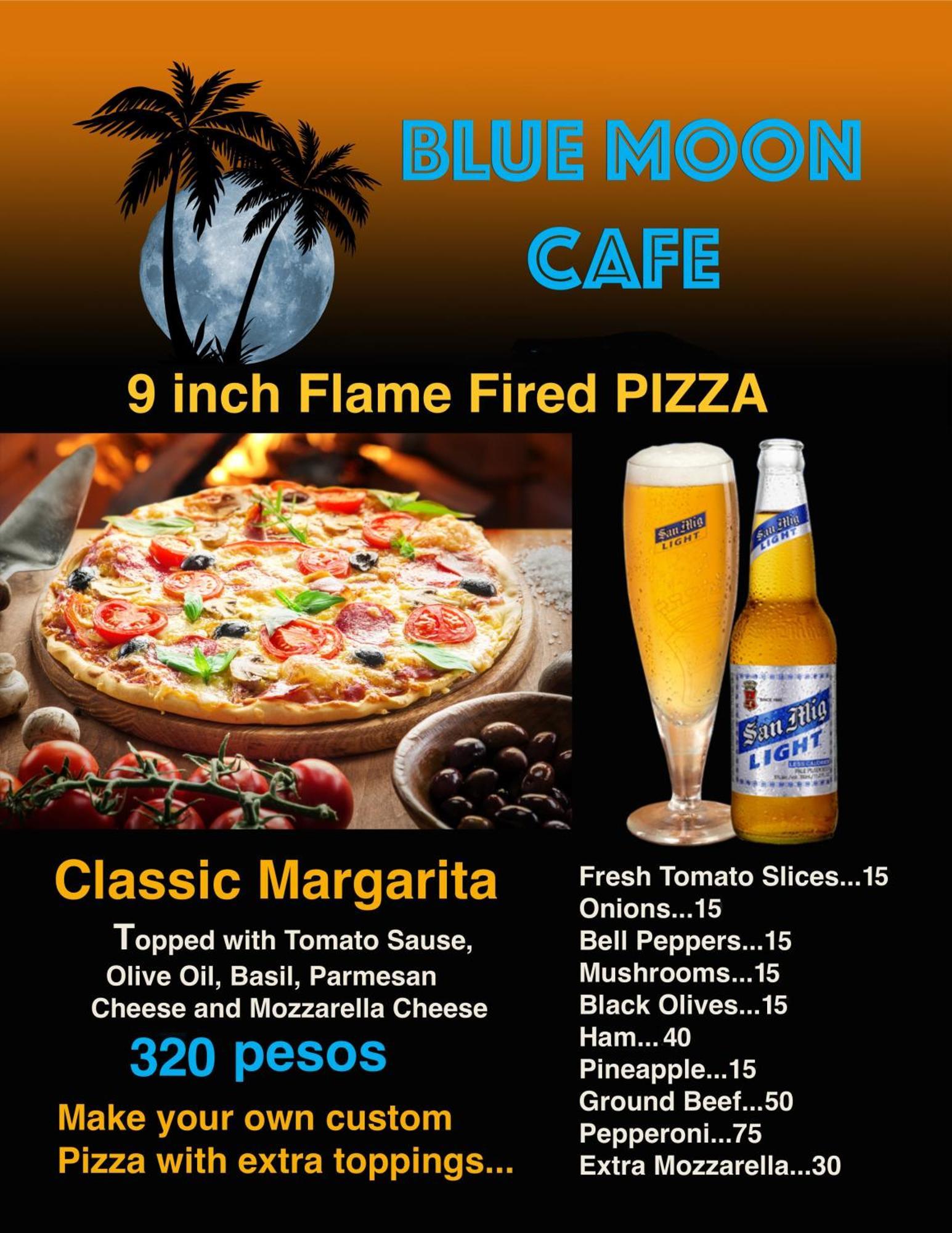 Blue Moon Guesthouse Puerto Princesa Eksteriør billede